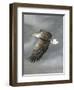 In Flight-Trevor V. Swanson-Framed Giclee Print