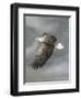 In Flight-Trevor V. Swanson-Framed Giclee Print