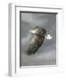 In Flight-Trevor V. Swanson-Framed Giclee Print