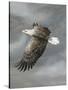 In Flight-Trevor V. Swanson-Stretched Canvas