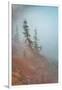 In Fog-Ursula Abresch-Framed Photographic Print