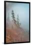 In Fog-Ursula Abresch-Framed Photographic Print