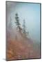 In Fog-Ursula Abresch-Mounted Photographic Print