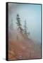 In Fog-Ursula Abresch-Framed Stretched Canvas