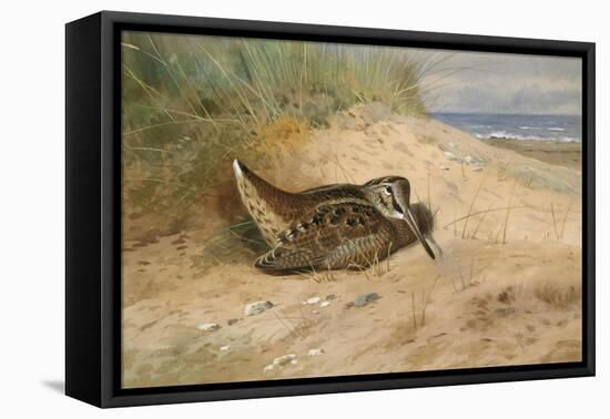 In from the North Sea, 1898-Archibald Thorburn-Framed Stretched Canvas