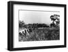 In Front Line Trenches during Attack on San Juan Hill during Spanish-American War. July 1, 1898.-null-Framed Photographic Print