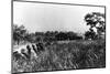 In Front Line Trenches during Attack on San Juan Hill during Spanish-American War. July 1, 1898.-null-Mounted Photographic Print