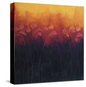 In Full Bloom I-Meritxell Ribera-Stretched Canvas