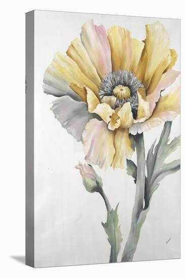 In Full Bloom I-Rikki Drotar-Stretched Canvas