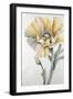 In Full Bloom I-Rikki Drotar-Framed Premium Giclee Print