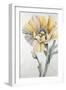 In Full Bloom I-Rikki Drotar-Framed Premium Giclee Print