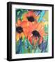 In Full Bloom-Dina Cuthbertson-Framed Art Print