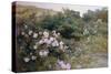 In Full Bloom-Henry Arthur Bonnefoy-Stretched Canvas