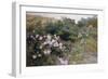 In Full Bloom-Henry Arthur Bonnefoy-Framed Giclee Print