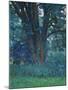 In Gloucestershire, c.1916-Harold Gilman-Mounted Giclee Print