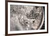 In God We Trust on US Quarter in Macro View-null-Framed Photo