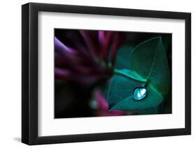 In Good Hands-Dragan Jovancevic-Framed Photographic Print