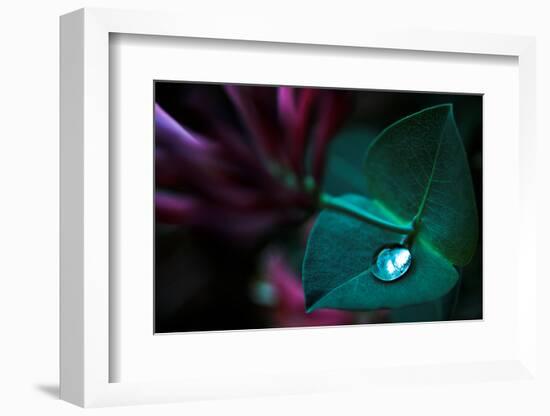 In Good Hands-Dragan Jovancevic-Framed Photographic Print