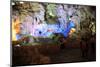 In Hang Dau Go Cave, Hang Dau Go Island in Ha Long Bay, North Vietnam, Quang Ninh, Vietnam-null-Mounted Art Print