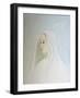 In Heaven the Virgin Mary Shares Her Son's Concern for All that Happens on Earth, 2000 (Oil on Boar-Elizabeth Wang-Framed Giclee Print