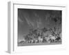 In Heavy-Wheeled Carts, Refugees Making their Way to India-Margaret Bourke-White-Framed Photographic Print