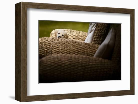 In Hiding-Valda Bailey-Framed Photographic Print