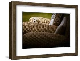 In Hiding-Valda Bailey-Framed Photographic Print