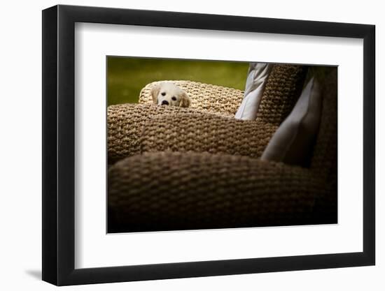 In Hiding-Valda Bailey-Framed Photographic Print