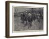 In Honour of the King of Portugal, the Review on His Majesty's Birthday at Komati Poort-Frank Craig-Framed Giclee Print