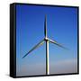 In Isle of Lanzarote  Spain Africa Wind Turbines Sky-lkpro-Framed Stretched Canvas