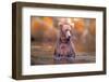 In Lake-Robert Zhang-Framed Photographic Print