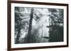 In Light and Trees, Sun Beams and California Coast Redwoods-Vincent James-Framed Photographic Print