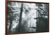 In Light and Trees, Sun Beams and California Coast Redwoods-Vincent James-Framed Photographic Print