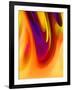 In Living Color-Ruth Palmer-Framed Art Print