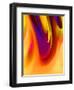 In Living Color-Ruth Palmer-Framed Art Print