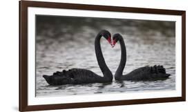 In Love-C.S. Tjandra-Framed Photographic Print