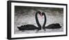In Love-C.S. Tjandra-Framed Photographic Print