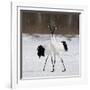 In Love-C.S. Tjandra-Framed Photographic Print