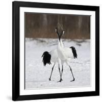 In Love-C.S. Tjandra-Framed Photographic Print