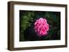 In Love-Philippe Sainte-Laudy-Framed Photographic Print