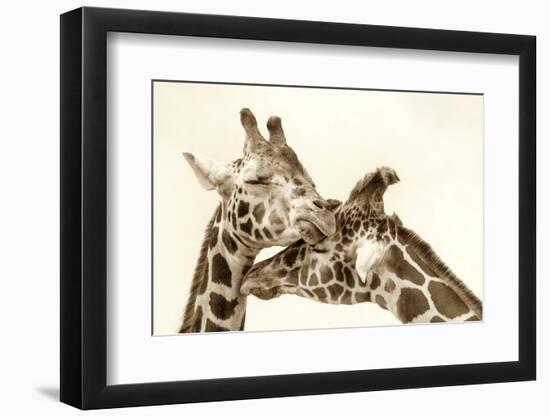 In Love-Carrie Ann Grippo-Pike-Framed Photographic Print