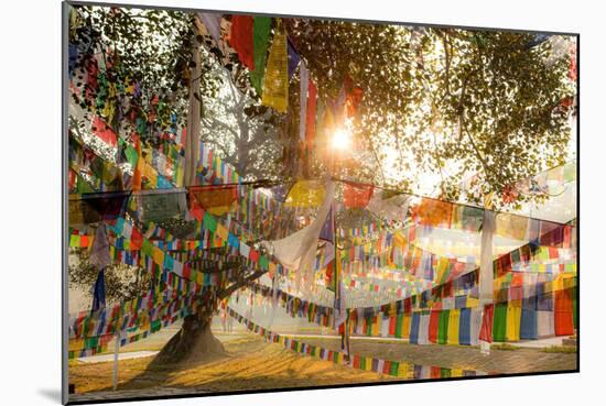 In Lumbini, Nepal, the Birthplace of the Buddha., 2012 (Photo)-Ira Block-Mounted Giclee Print