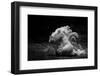 In Motion-C.S. Tjandra-Framed Photographic Print