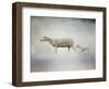 In My Mothers Footsteps Sheep and Lamb-Jai Johnson-Framed Premium Giclee Print