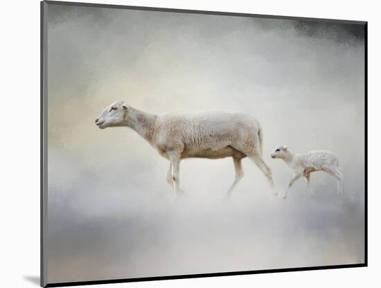 In My Mothers Footsteps Sheep and Lamb-Jai Johnson-Mounted Giclee Print