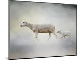 In My Mothers Footsteps Sheep and Lamb-Jai Johnson-Mounted Giclee Print