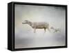 In My Mothers Footsteps Sheep and Lamb-Jai Johnson-Framed Stretched Canvas