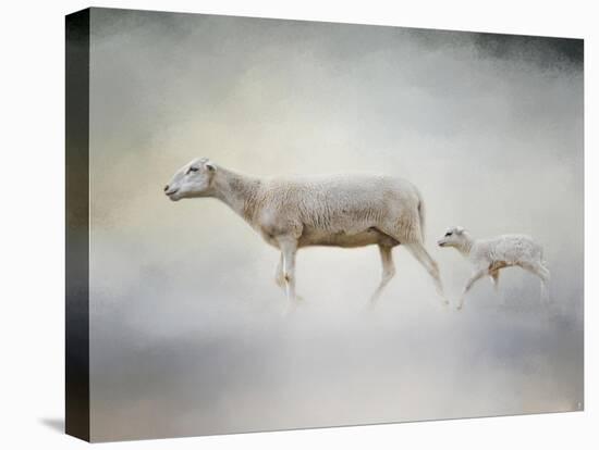 In My Mothers Footsteps Sheep and Lamb-Jai Johnson-Stretched Canvas