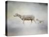 In My Mothers Footsteps Sheep and Lamb-Jai Johnson-Stretched Canvas