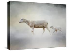 In My Mothers Footsteps Sheep and Lamb-Jai Johnson-Stretched Canvas